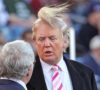 Donald Trump Wig