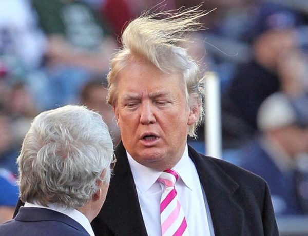 Donald Trump Wig