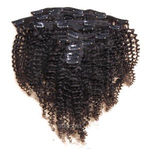 【Addcolo 8A】Clip-In Hair Extensions Brazilian Hair Kinky Curly