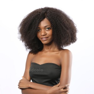 Adilene Remy Hair Lace Front Wigs Natural Black